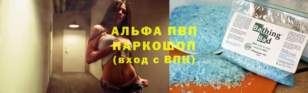 СК Зерноград