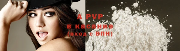 гидра Зеленокумск