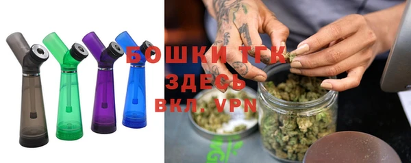 СК Зерноград