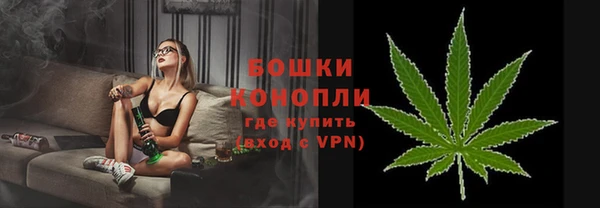 гидра Зеленокумск