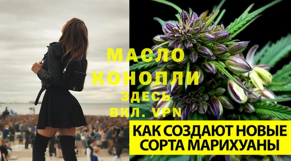 гидра Зеленокумск
