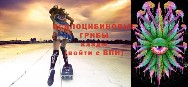 прущий лед Зарайск