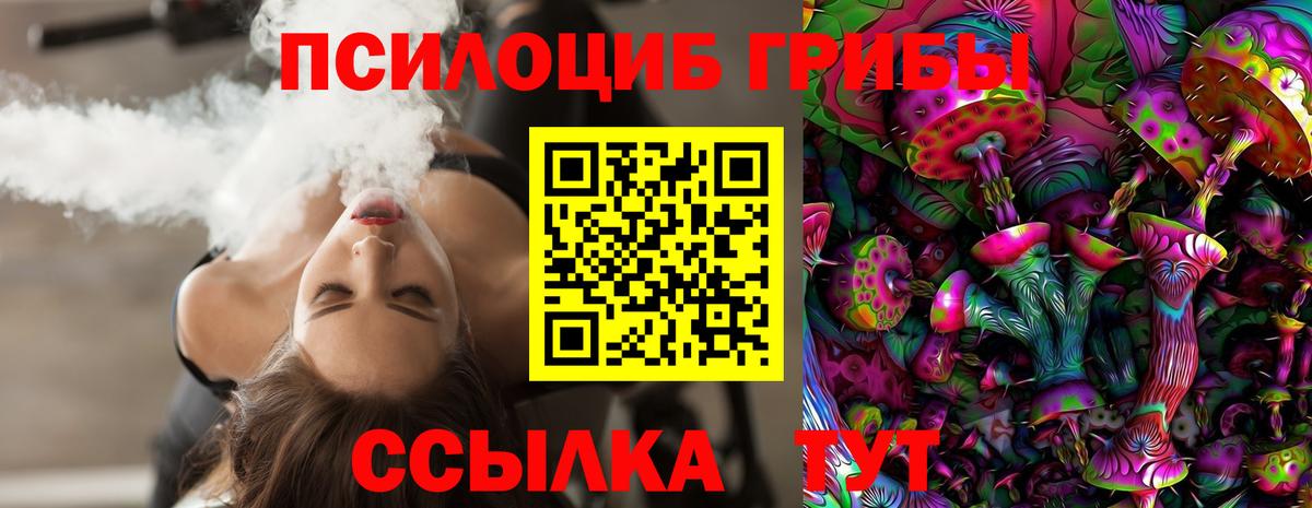 Зерноград  Галлюциногенные грибы GOLDEN TEACHER  Вход с VPN  Псилоцибиновые грибы Psilocybe 